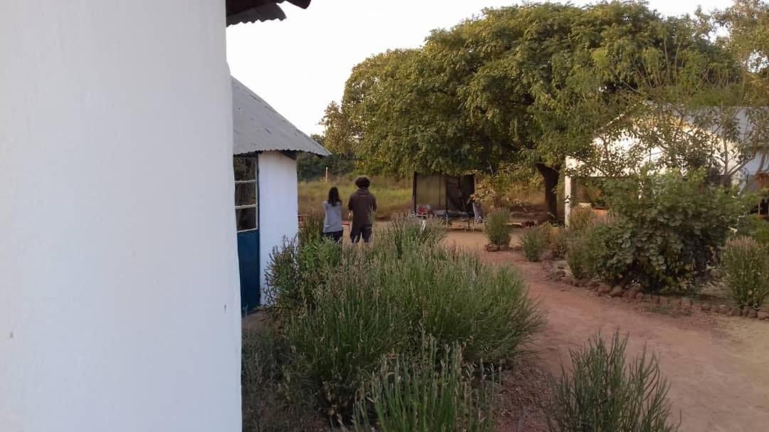 Camping Sitaba Lodge Georgetown Luaran gambar